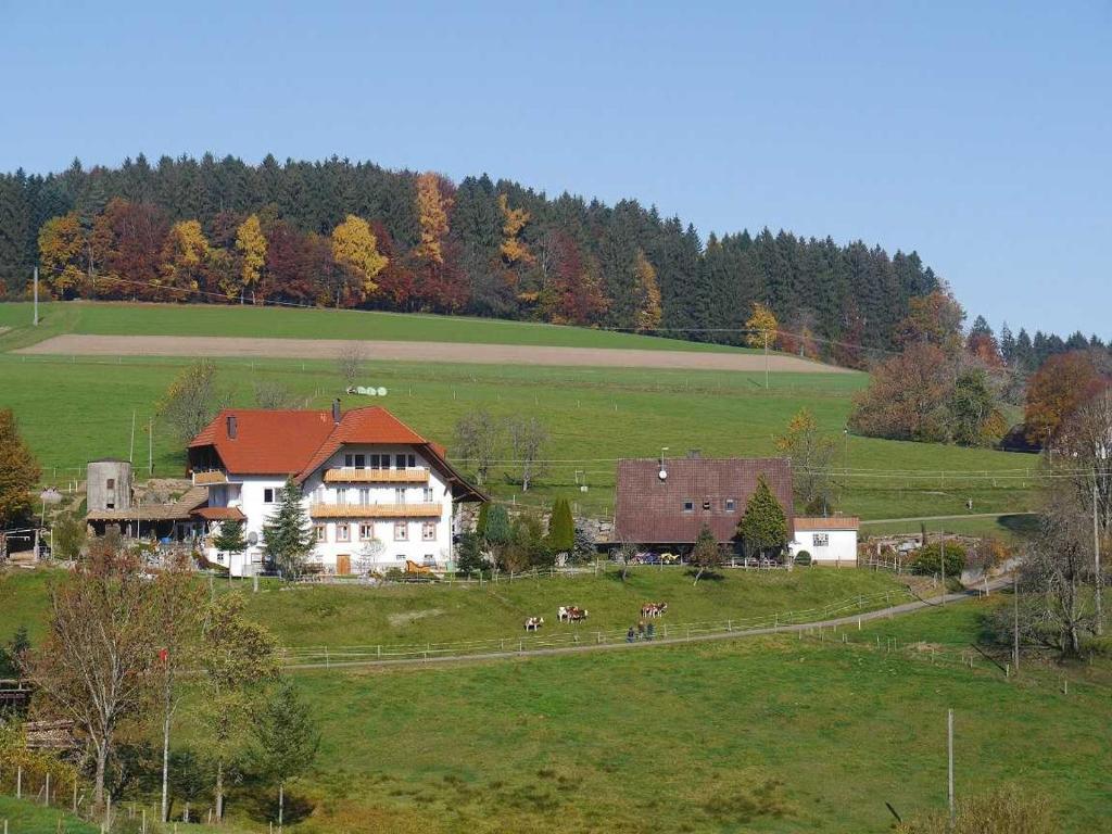 Séjour à la ferme Dischhof Selbig 8, 79215 Biederbach Baden-Württemberg