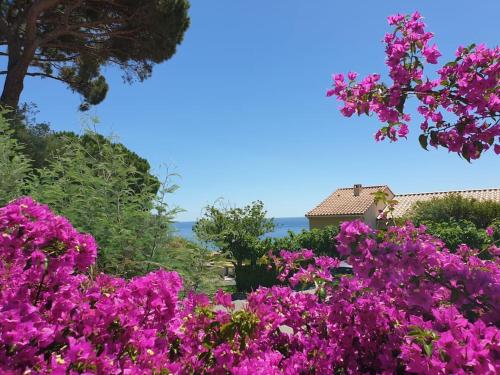 Dolce Casa 83 Sainte-Maxime france