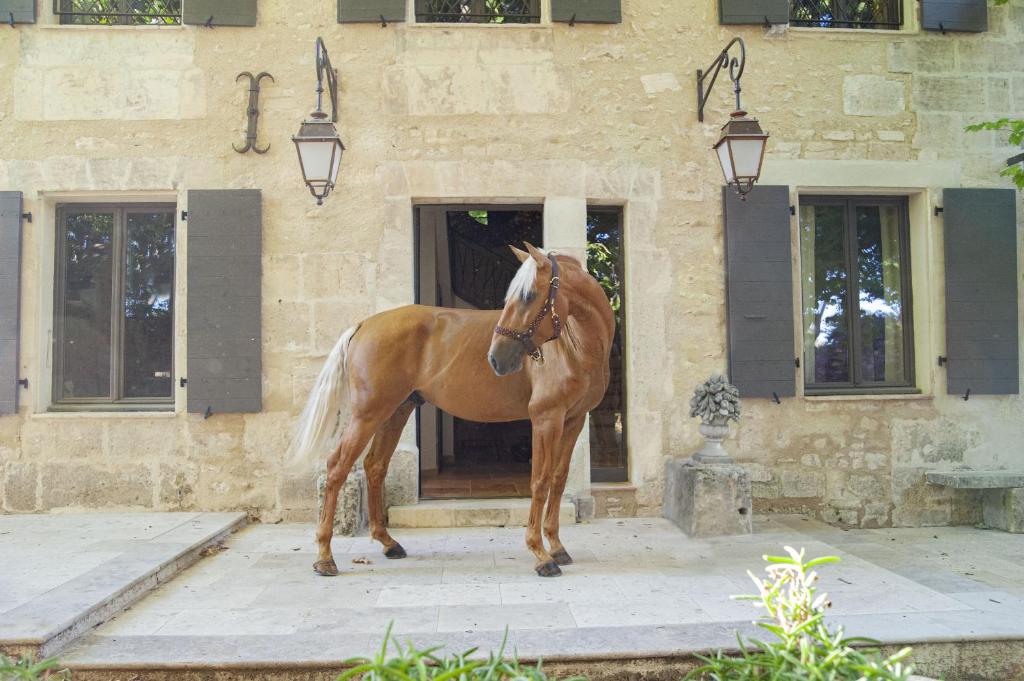 B&B / Chambre d'hôtes Domaine Cap Rubis Le Mas Blanc 59 Avenue de la Vallée des Baux, 13520 Paradou