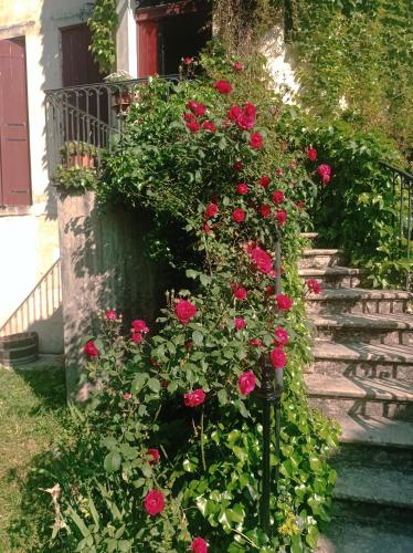 Domaine de l'Oasis Paillet france