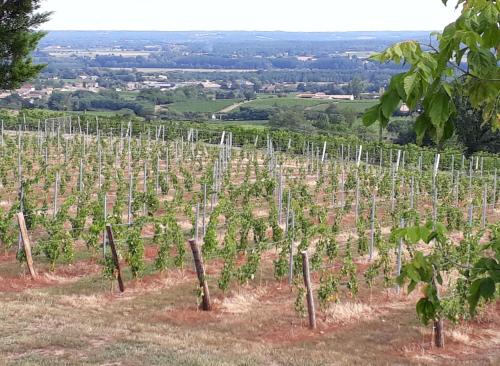 Maison de vacances Domaine de la belle Lurette 19 bis route de Jean Redon Saint-Pierre-dʼAurillac