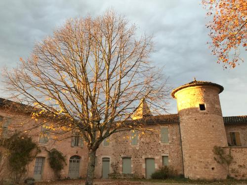 Domaine de La Durantie Appt 1 Vieux Château Castelnau-de-Montmiral france