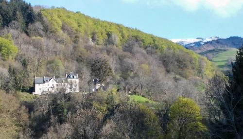 Domaine de la Jordanne - B&B Saint-Cirgues-de-Jordanne france