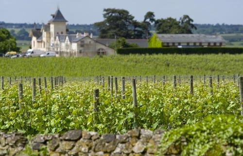 Domaine de la Soucherie - Chambres d'hôtes Beaulieu-sur-Layon france