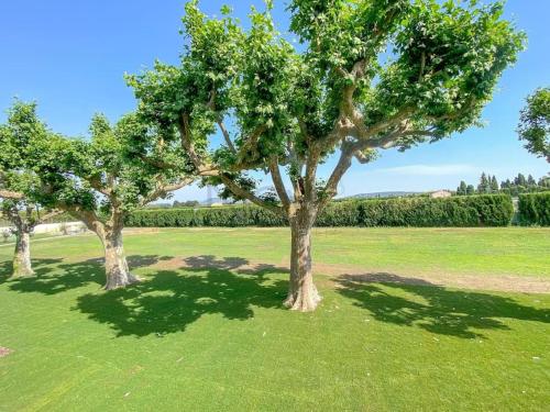 Domaine de la Toumanque- Mas provençal rénové- 4 chambres - 14 couchages Les Vignères france