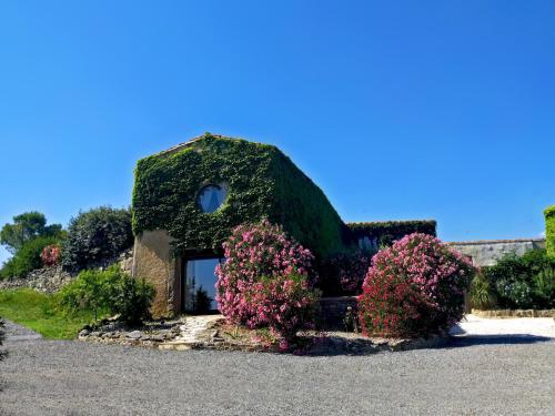 Domaine De Palatz Laure-Minervois france