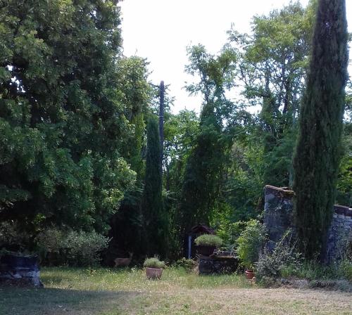 B&B / Chambre d'hôtes Domaine de Séguéla Lieu-dit Mascayroles Fargues