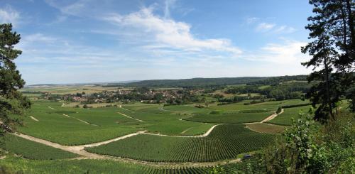 Domaine des Grattières Hermonville france