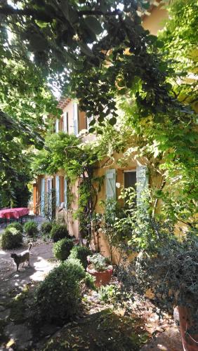 domaine des tilleuls d'or Saint-Cézaire-sur-Siagne france