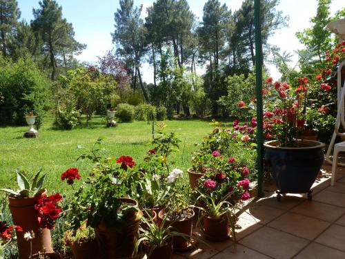 Maison de vacances DOMAINE DU PLANAS - PATIO DOMAINE DU PLANAS DOMAINE DU PLANAS Ailhon