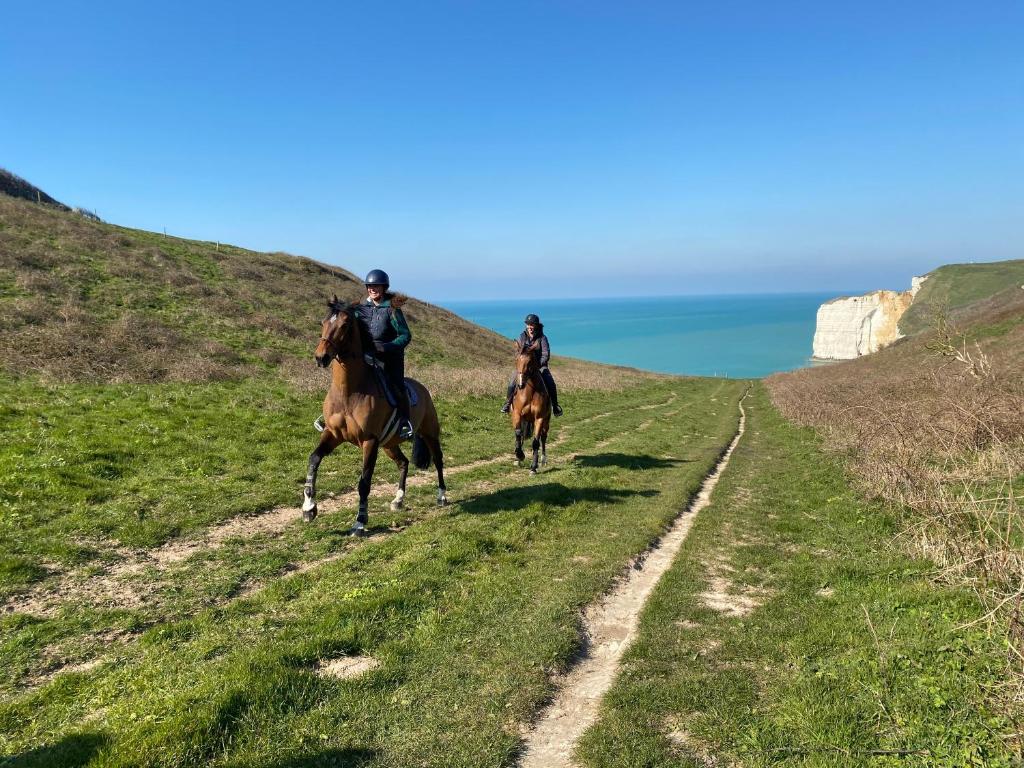 B&B / Chambre d'hôtes Domaine Equestre Etretat 248 RUE DE LA SAUVAGERE, 76790 Le Tilleul