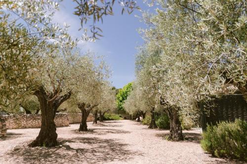 Hôtel Domaine la Pierre Blanche 2950 Route d'Orgon Eygalières