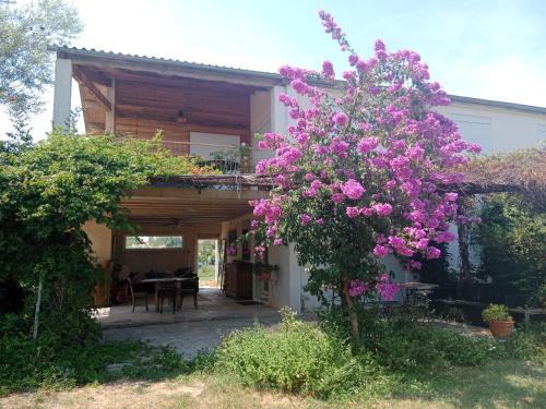 Maisons de vacances Domaine Limouzy Chemin de Gleizes aux Prairies S/N Narbonne