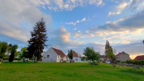 Domaine Ravy-Orchidée Saint-Symphorien-sur-Saône france