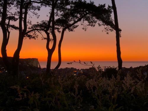 Hôtel Domaine Saint Clair - Le Donjon Chemin de Saint Clair Étretat