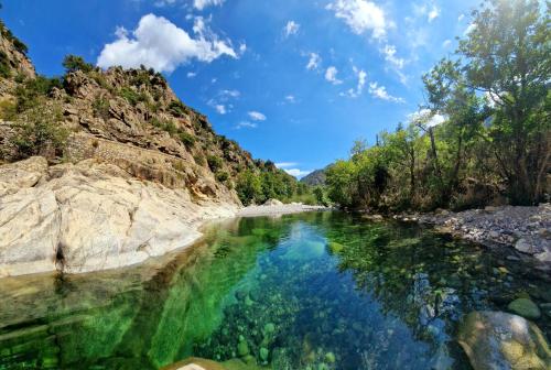 Domaine U Filanciu - Maison Chiara avec piscine - Centre Corse Moltifao france