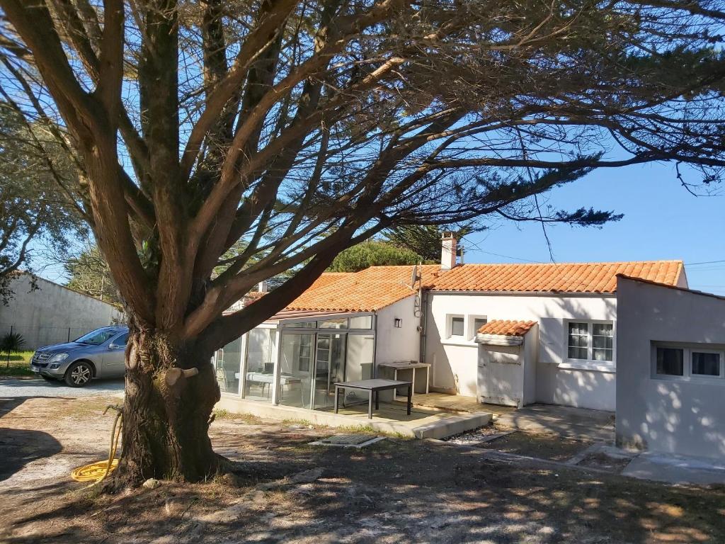 Maison de vacances Domino , ile d' Oléron ,vacantiehuis 8 personen, dichtbij het strand 108 Chemin des Conches, 17190 Les Sables Vignier