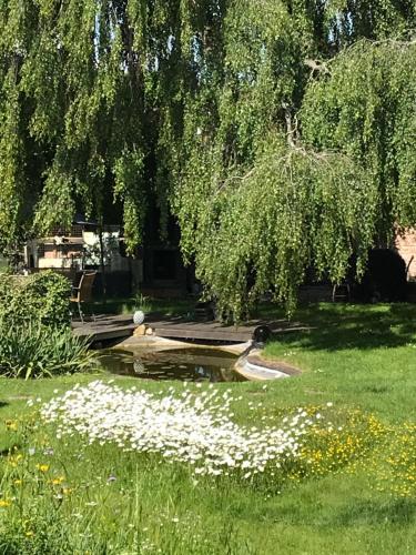 Donautaler Wohlfühloase Gundelfingen allemagne