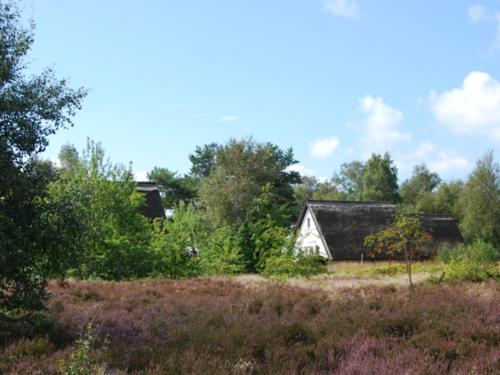 Appartements Doppelhaushälfte in Vitte auf Hiddensee Vitte Vitte