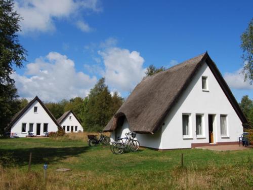 Doppelhaushälfte in Vitte auf Hiddensee Vitte allemagne