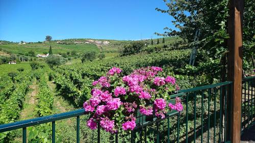 Maison de vacances Douro Valley - Casa Vale do Douro Lugar da Adega do Chão - Cambres s/n Lamego