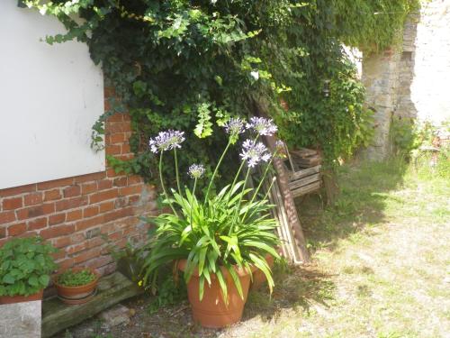 Appartements Drahtesel Oase 31 Dorfstraße Pömmelte