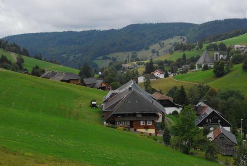 Drei Tannen und Ferienhaus Schneider Todtnau allemagne