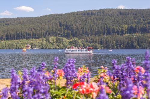 Appartement Drei Tannen - Wohnung 07 - Apartmenthaus, Titisee, Feldberg Spriegelsbachweg 3 Titisee-Neustadt