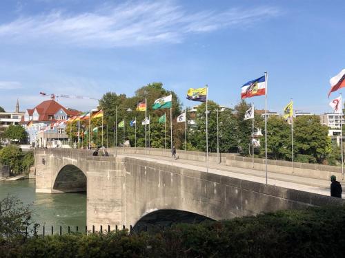 Dreiländereck, schöne Ferienwohnung mit großem Freisitz Rheinfelden allemagne