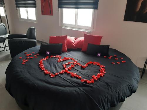 Ds Plaisir Love Room avec sauna, jacuzzi à Nancy Nancy france