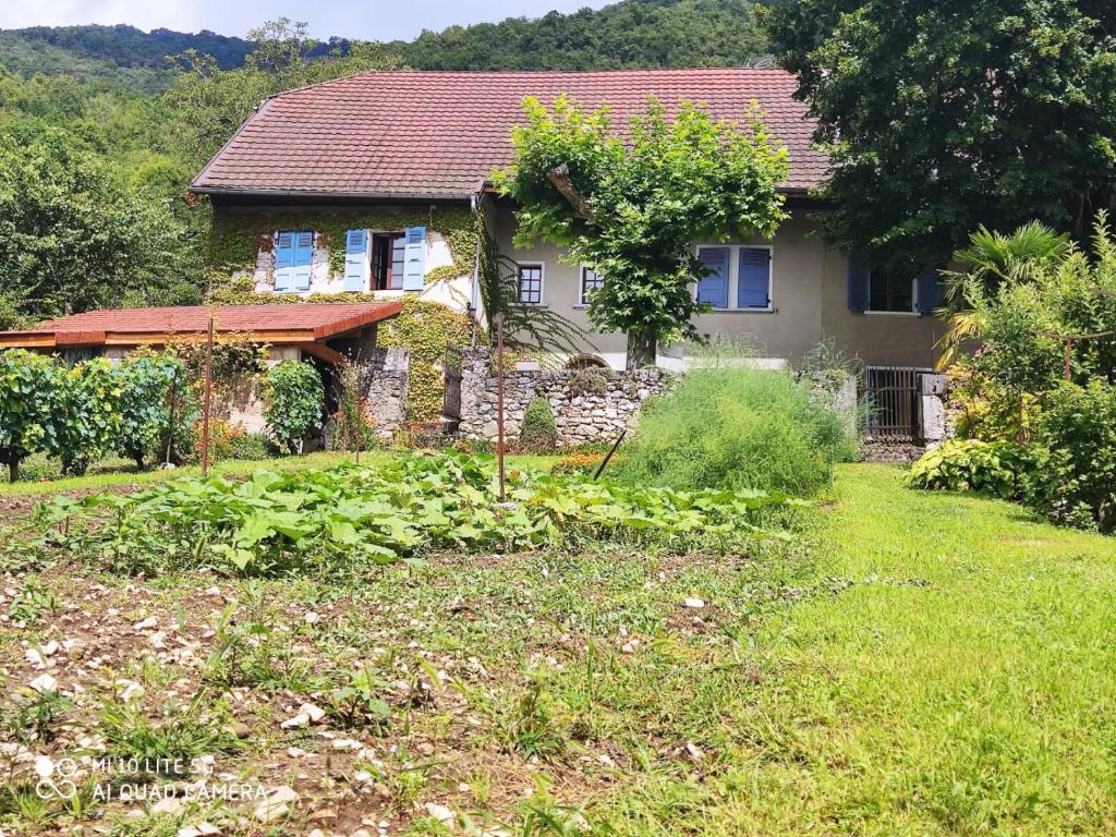 Maison de vacances Du Vent Dans Les Arbres - Belle vue sur le lac 162 Chemin des Tigneux, 73310 Chindrieux