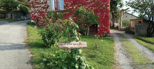 Du Vent Dans Les Arbres - Belle vue sur le lac Chindrieux france