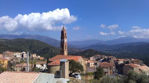 Ducourneau Grimaldi Moltifao france