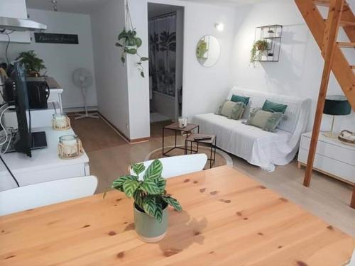 B&B / Chambre d'hôtes Duplex à la gare du Mans 29 Rue Etoc Demazy Le Mans