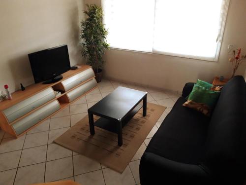 Duplex le cocon Pins-Justaret france