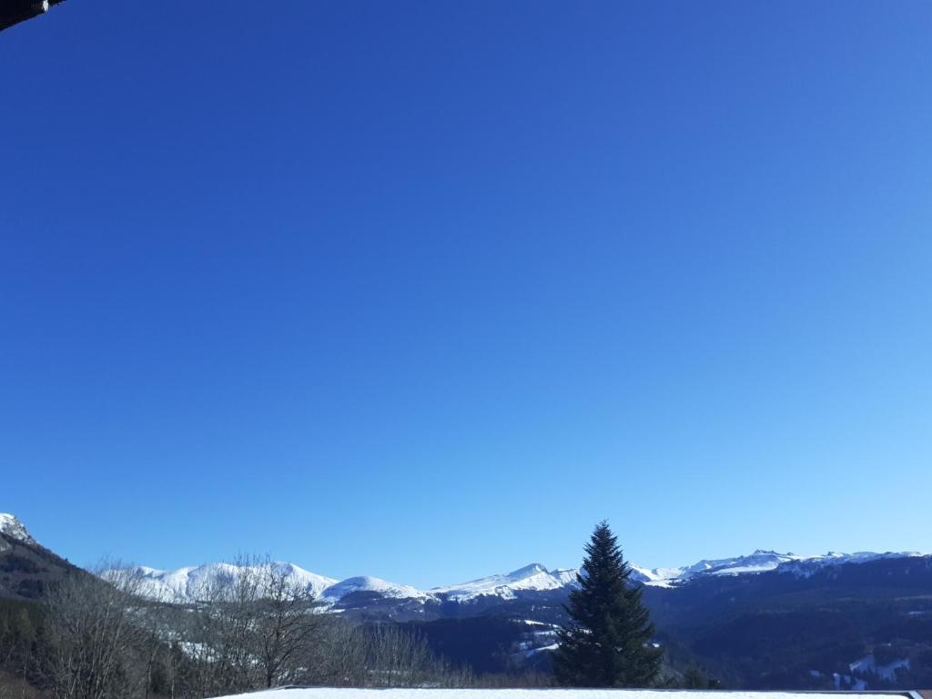 Appartement Duplex lumineux à 1200m d'altitude Route de la Banne d'Ordanche, 63150 Murat-le-Quaire