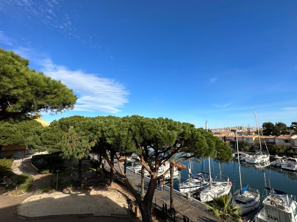 Appartement Duplex meublé avec terrasse dans résidence avec piscine 1 Quai des Joûtes, 34300 Le Cap d\'Agde