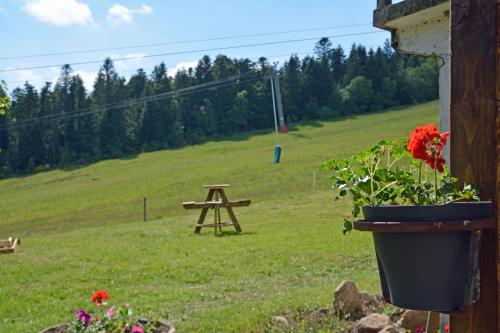 Echo des montagnes Chalmazel Jeansagniere france