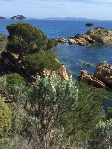 Ecrin de verdure sur Le Lavandou - Classement Tourisme 3 Etoiles Le Lavandou france