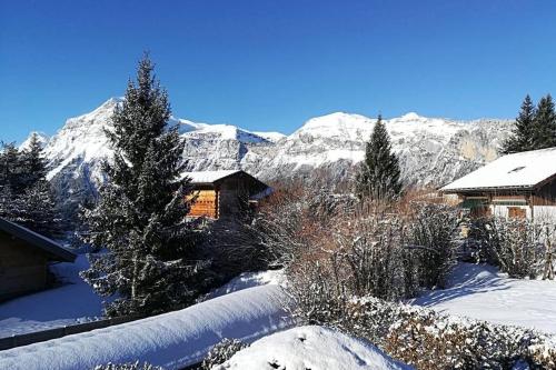 Eden Roc Grand Massif Les Carroz d\'Arâches france