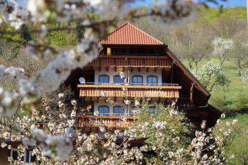 Ehrenmättlehof Faißt Bad Peterstal-Griesbach allemagne