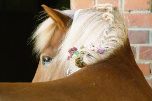 Appartements Eichenhof Kalletal Kurstraße 14 Kalletal