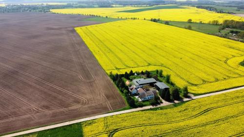 Appartement Ein Bett im Kornfeld - Haus Morgensonne - mit Innenpool 35 Trittelwitz Schönfeld