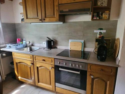 Appartement Ela Vital Ferienwohnung 5 Jägerhaushaldenweg St. Blasien