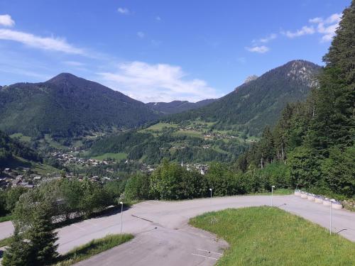 Appartement Emilie hanard 182 impasse de la grand terche Saint-Jean-dʼAulps