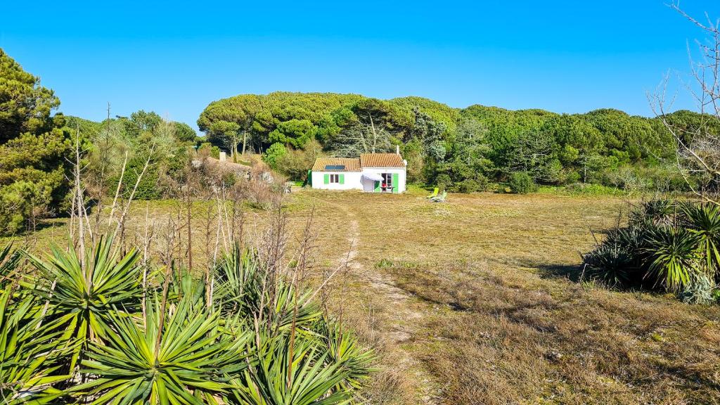 Villa Ensemble de 2 maisons dans les dunes 29 route du petit sergent, 17580 Le Bois-Plage-en-Ré