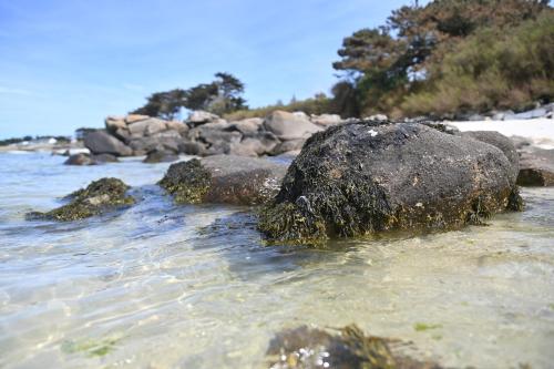 Entre Terre et Mer Plougoulm france