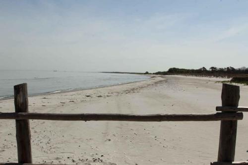 Erholung in der Natur - Urlaub im Alten Forsthaus Zingst allemagne