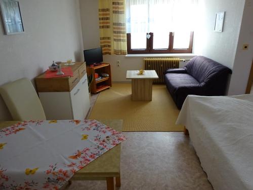 Appartement Erzgebirgsdomizil am Schwartenberg 23 Olbernhauer Straße Neuhausen