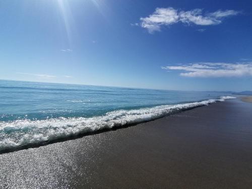 Appartement Escale au Sud, un appart les pieds dans l eau :) App 228, bâtiment c Résidence Palm Beach avenue de la grande plage Le Barcarès